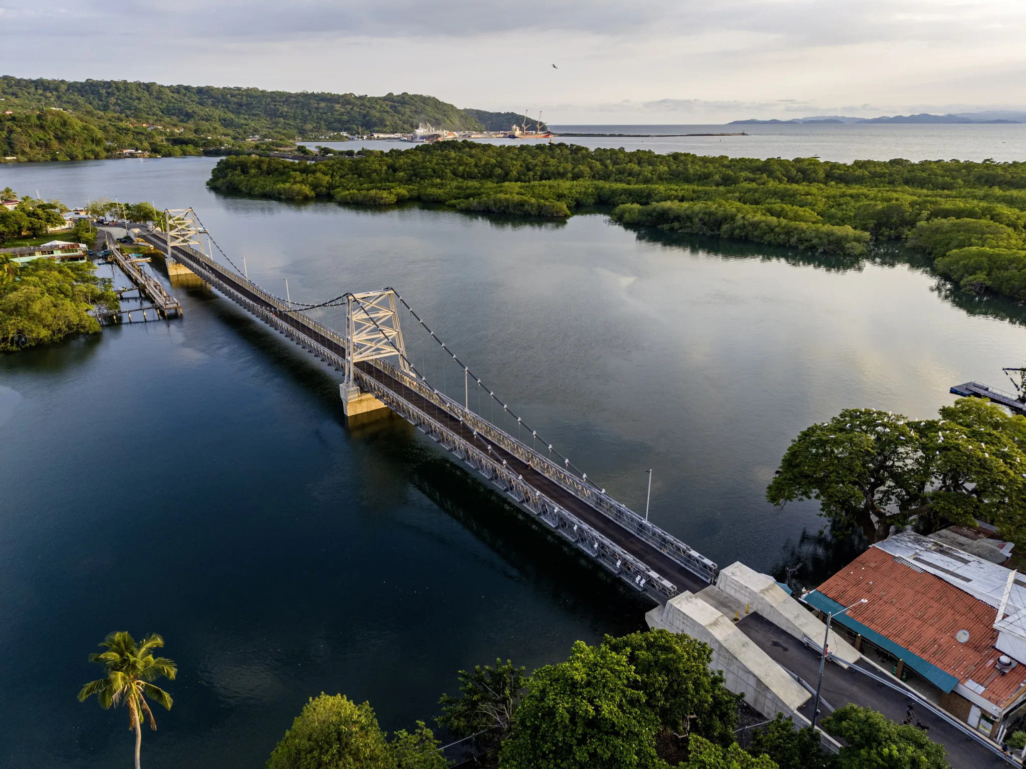 Vista aérea del puente peatonal de Mata de Limón en Caldera de Esparza, rodeado de manglar y zona costera.